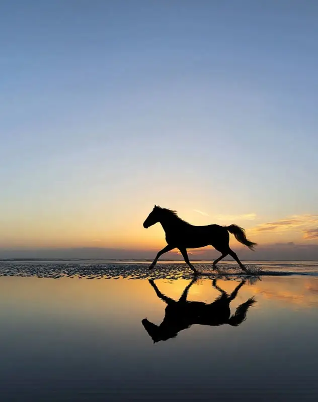 Reiten am Strand